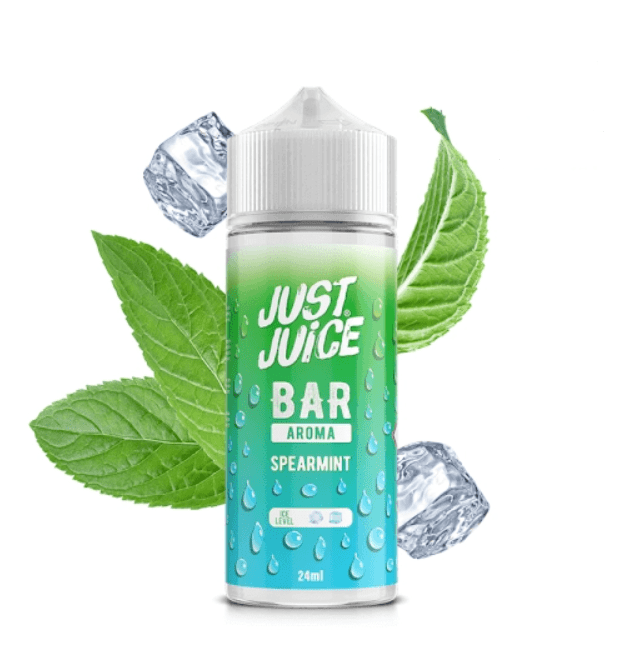 Spearmint Aroma 24ml (Longfill) - just Juice