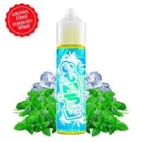 Icee Mint Aroma 10ml (Longfill) - Fruizee