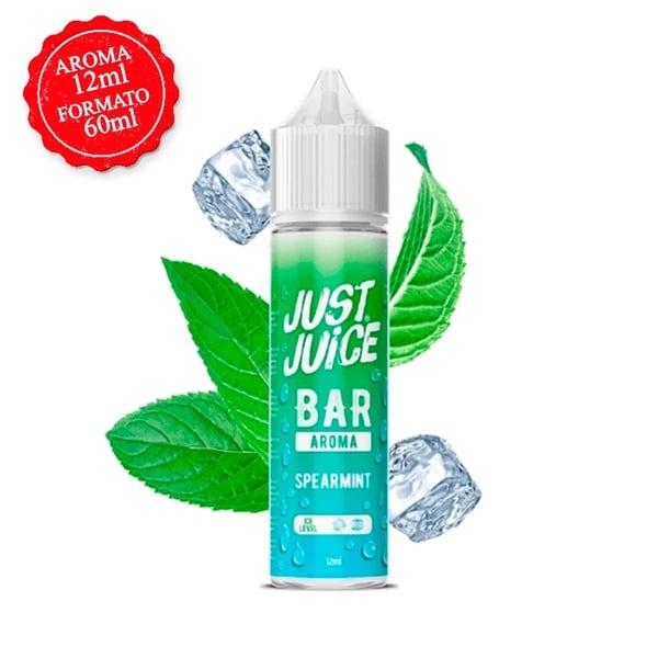 Spearmint Aroma 12ml (Longfill) - just Juice