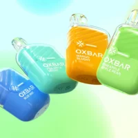Desechable 600puff/20mg - Oxvar